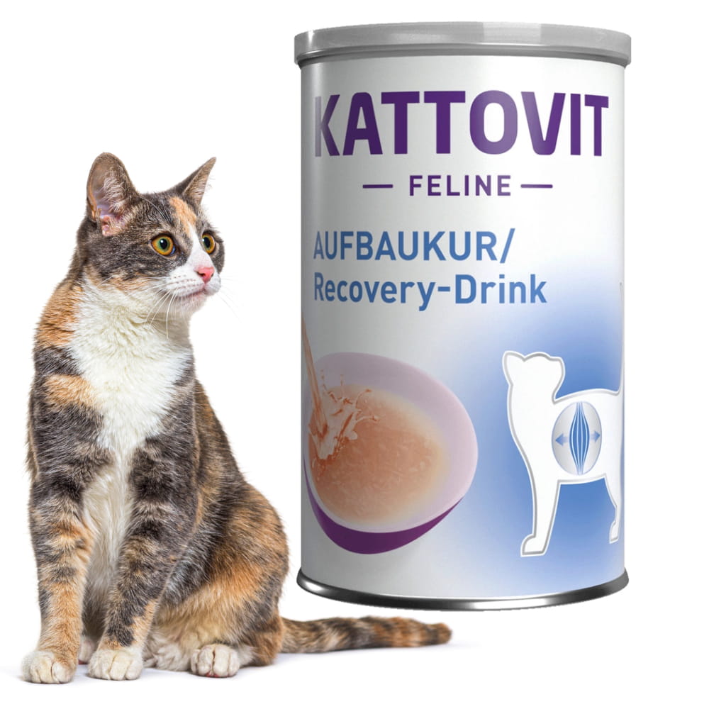 kattovit regeneracja2.jpg